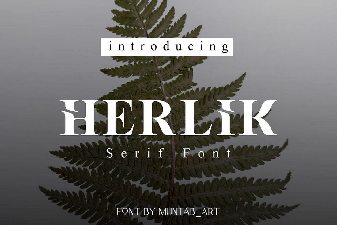 Herlik - Modern Serif Font