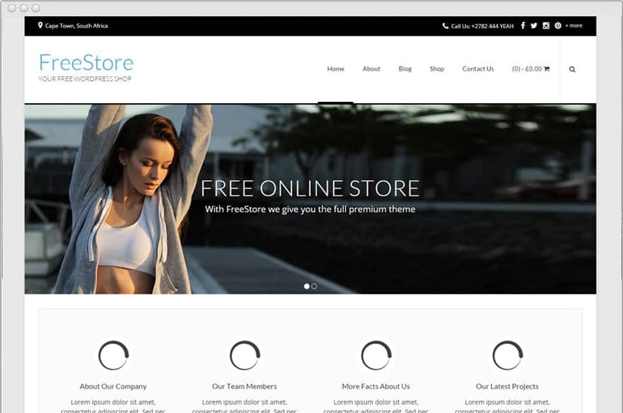 FreeStore WordPress Theme