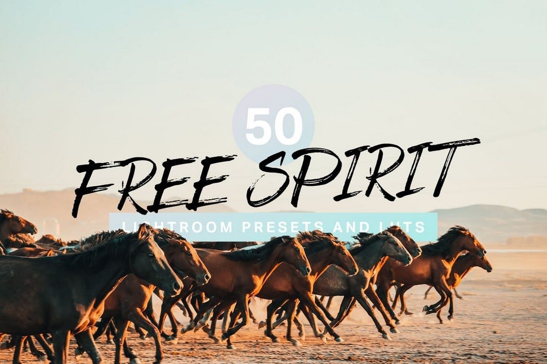 50 Free Spirit Lightroom Presets