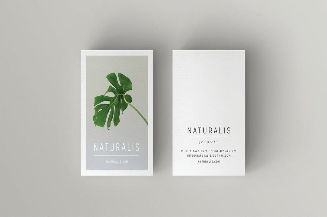 NATURALIS Business Card