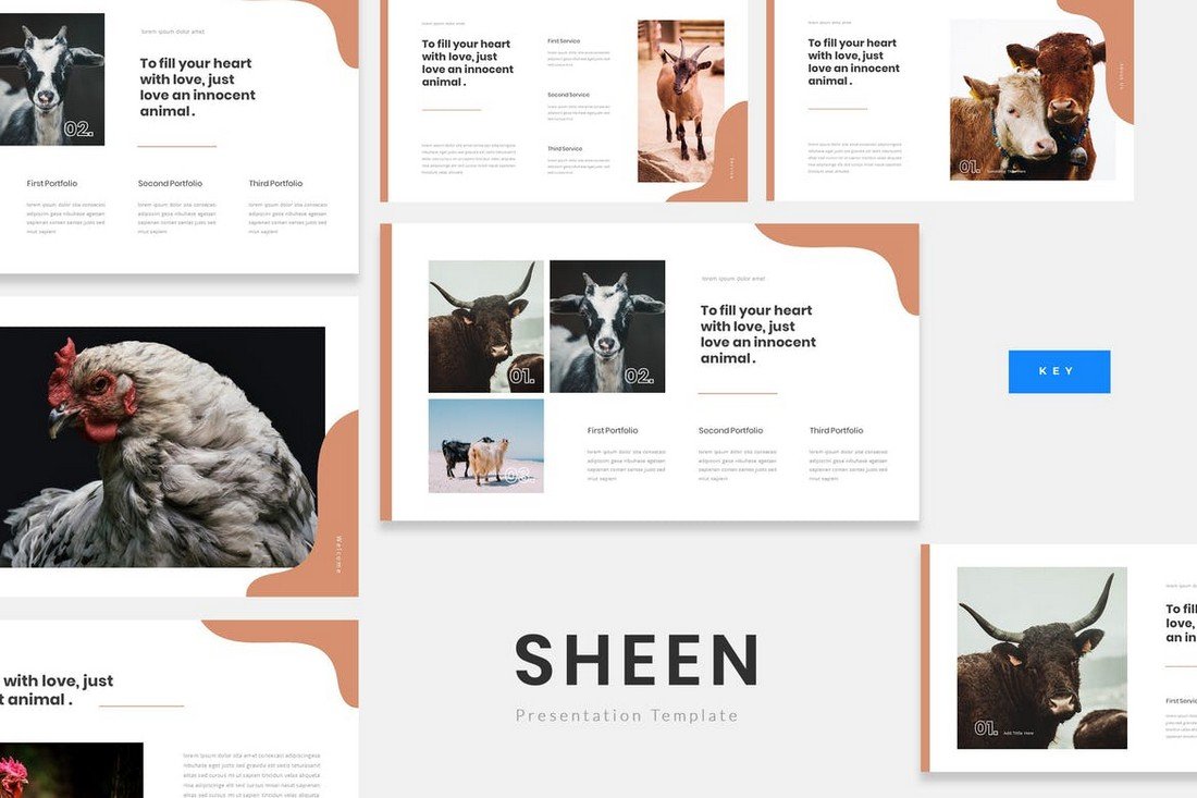 Sheen - Animal Farm Keynote Presentation Template