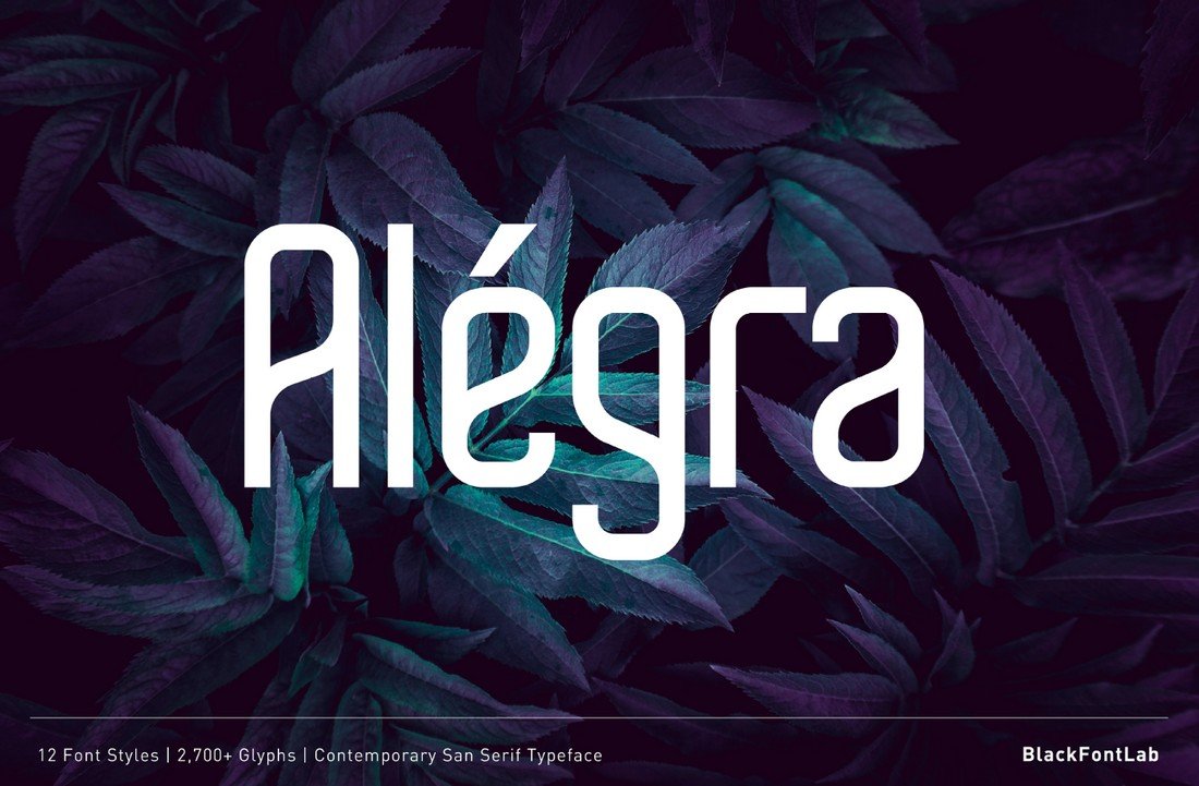 Alegra - Free Minimal Sans Font