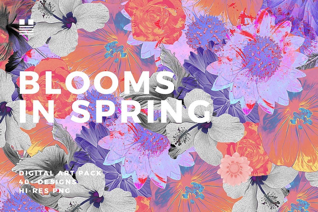Blooms in Spring - Flower Backgrounds