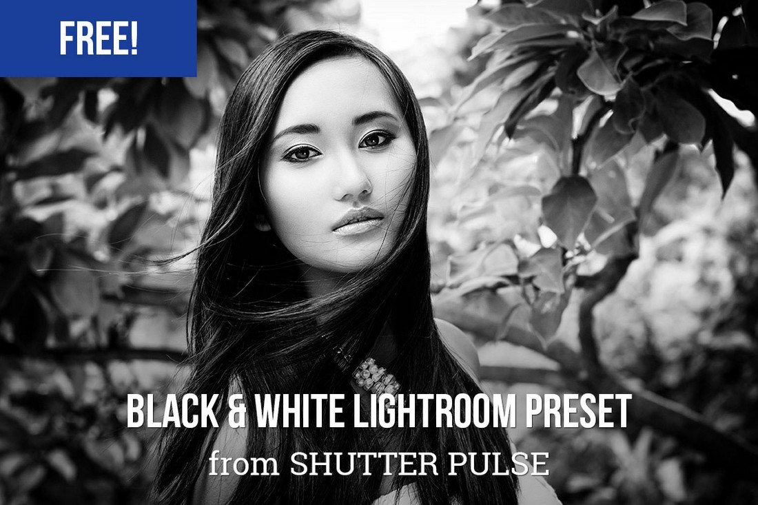 Free Bold Black & White Lightroom Preset