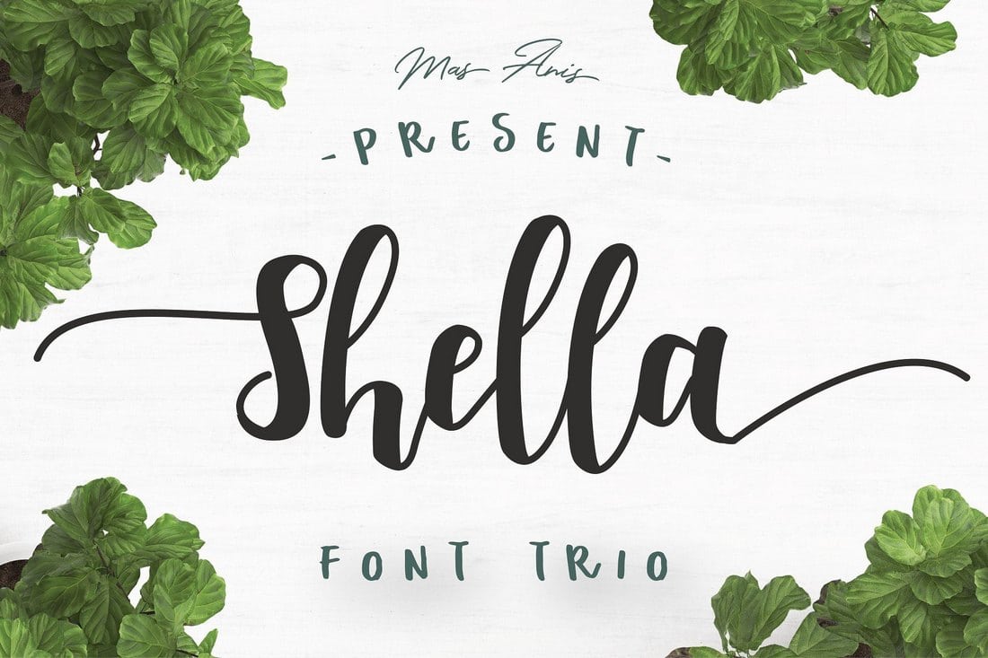 Shella Font Trio