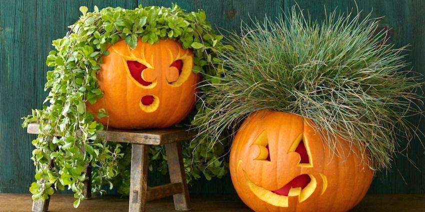 pumpkin carving idea