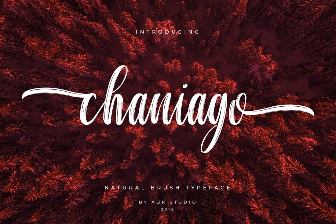 Chaniago Natural Brush