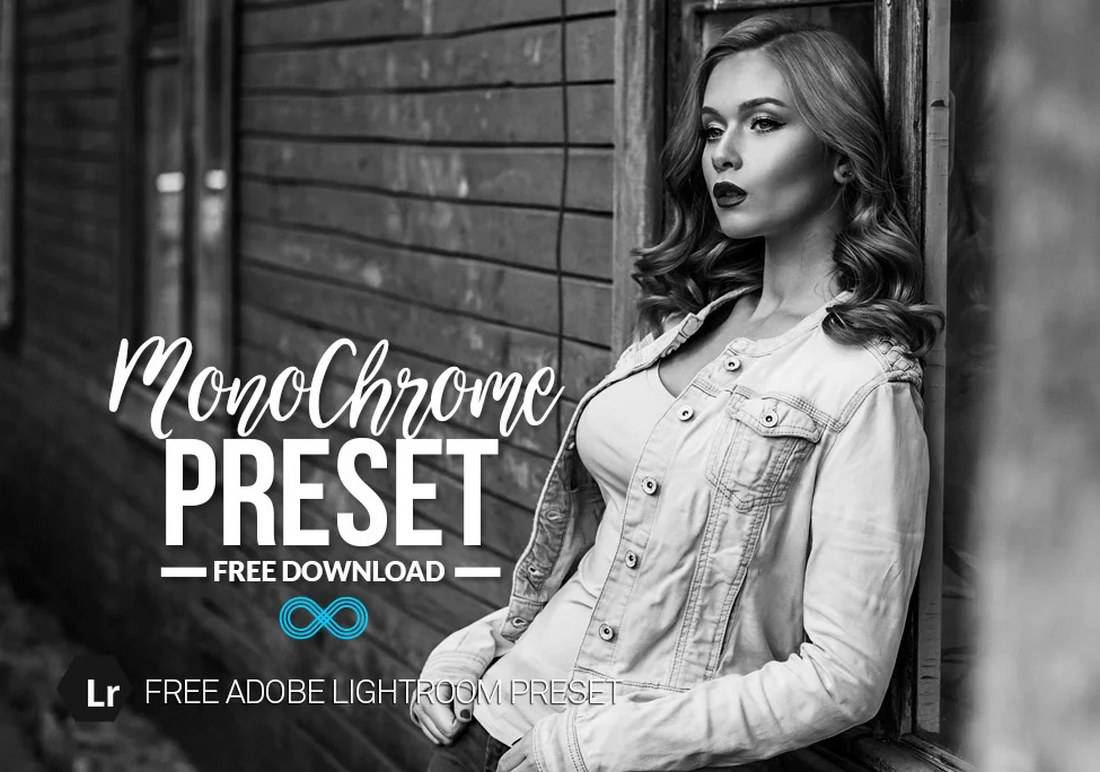Free Monochrome Lightroom Preset