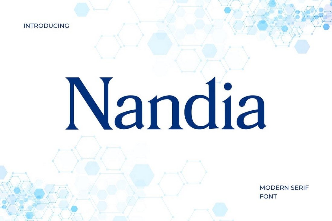 Nandi - Modern Serif Font