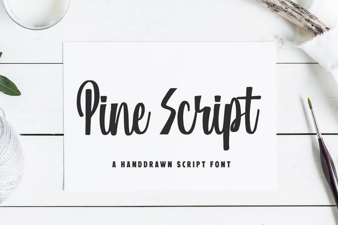 Pine Script
