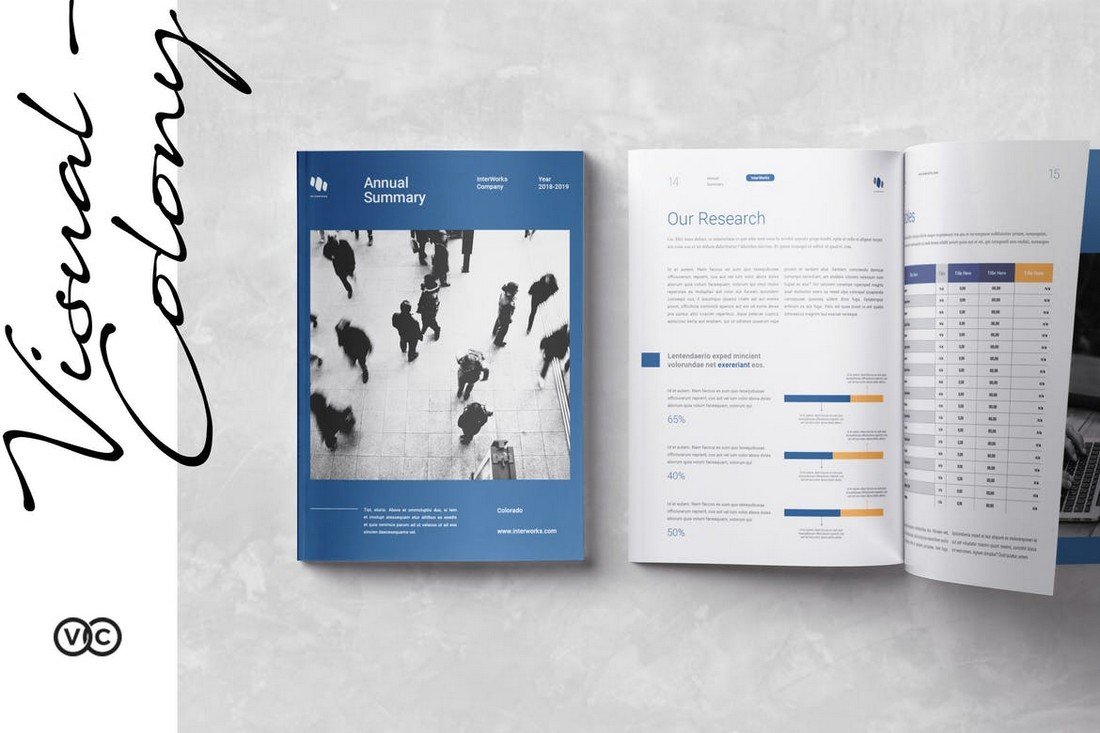Professional InDesign Annual Report Template