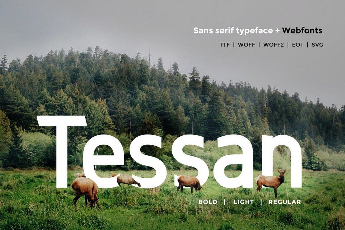 Tessan Sans - Modern Minimal Font