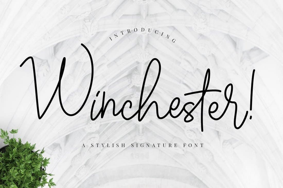Winchester - Signature Script Font