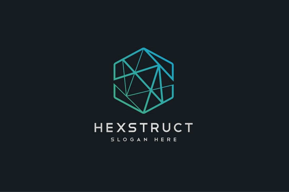 Abstract Hexagon Geometric Logo