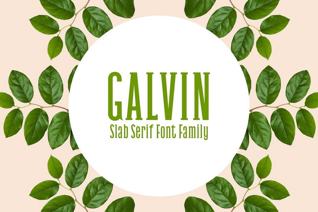 Galvin - Slab Serif Font Family Pack