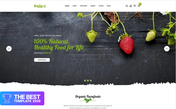 Kalo - Health & Organic Shopify Theme.