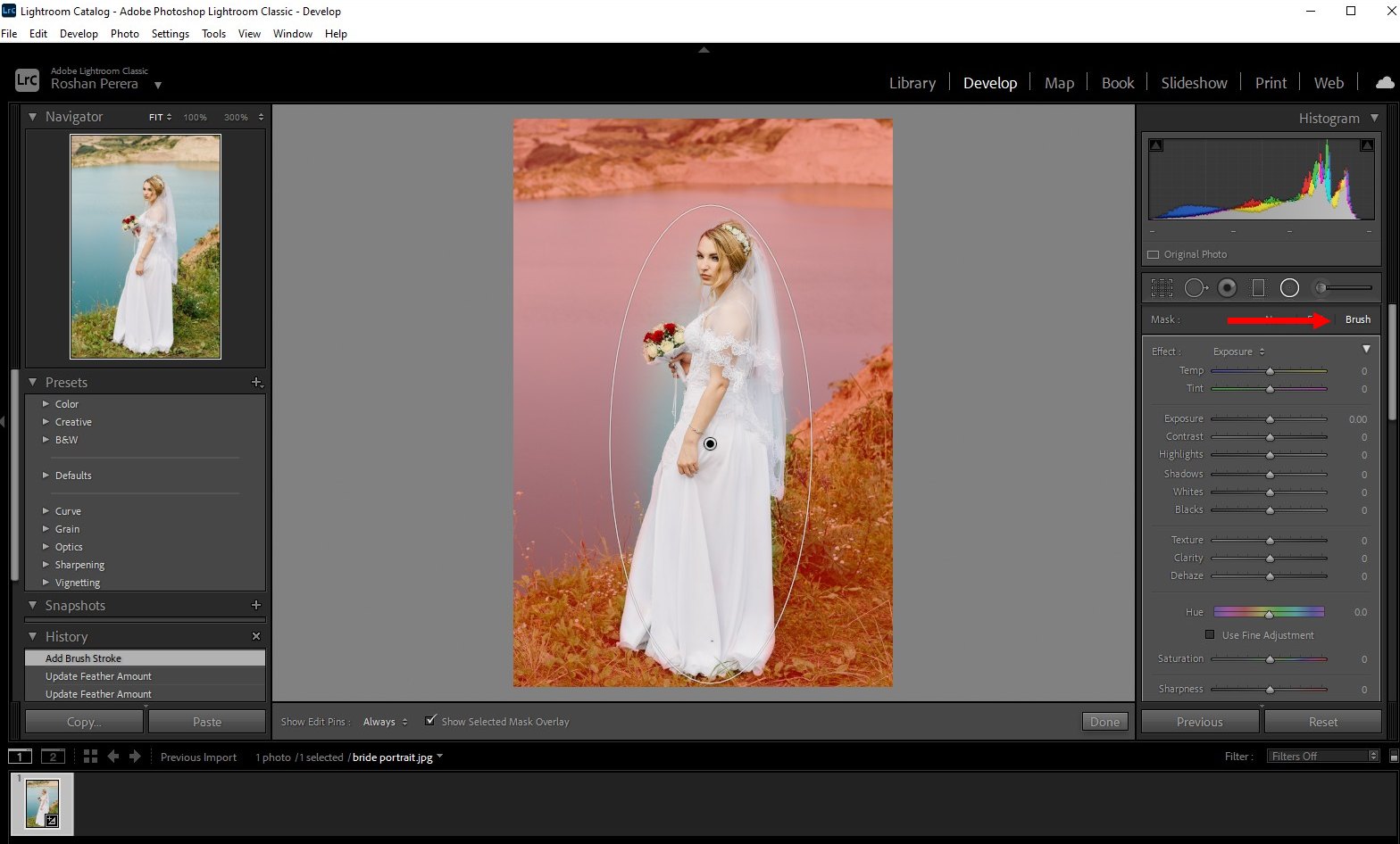 how to blur background lightroom classic - 3